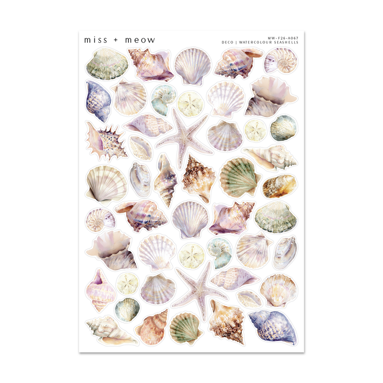 Deco | Watercolour Seashells